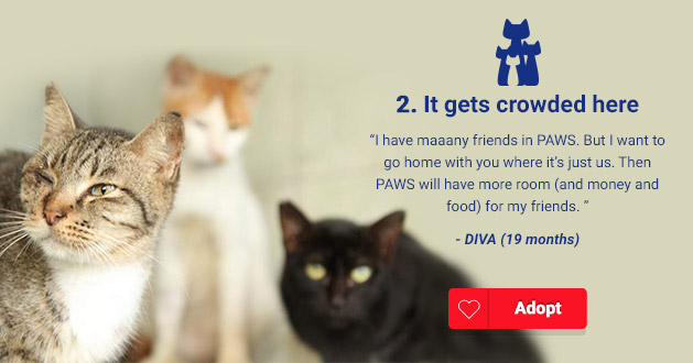 pawsome_10